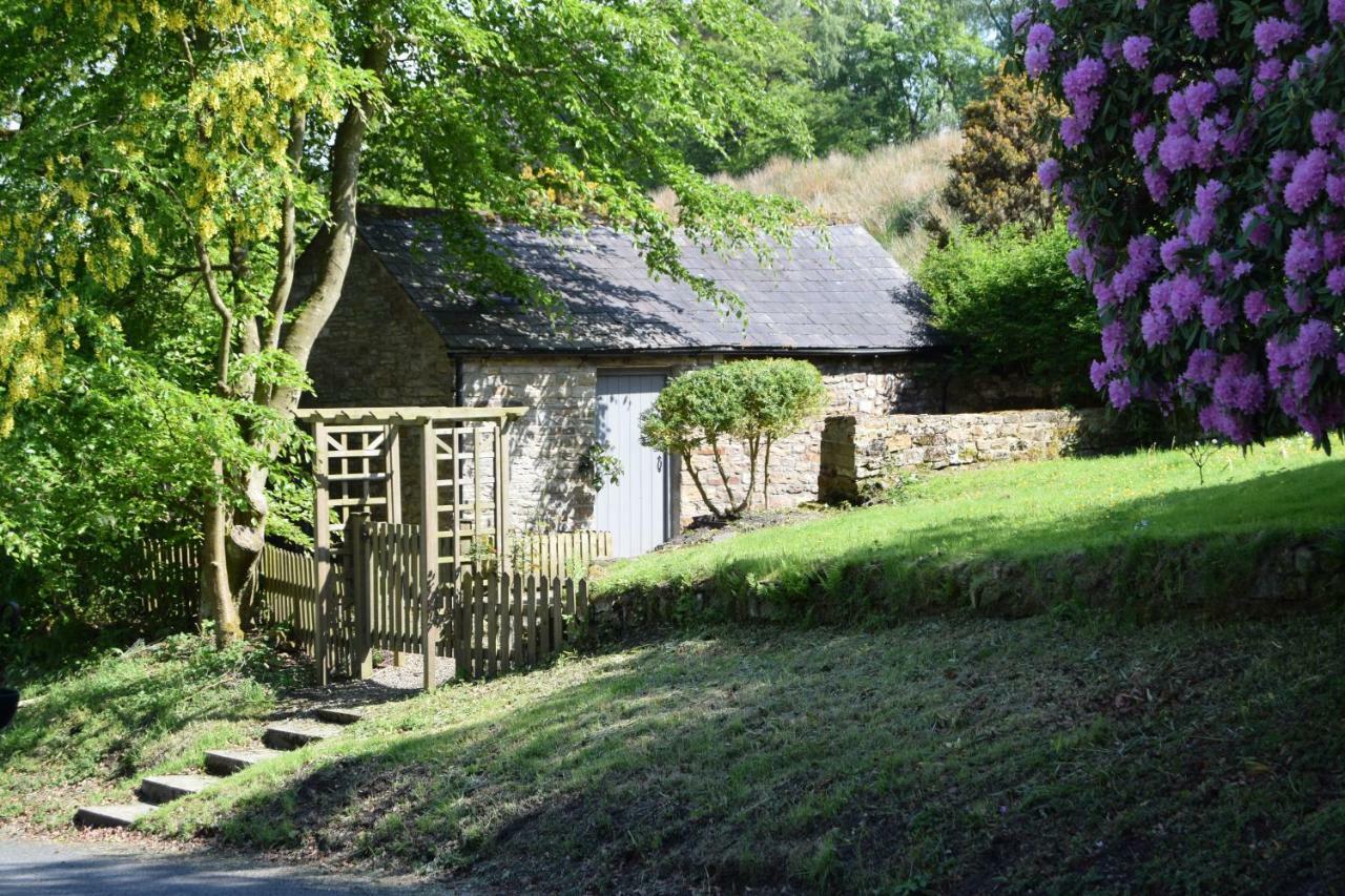 The Bothy At Ivy Cottage 霍特惠斯尔 外观 照片